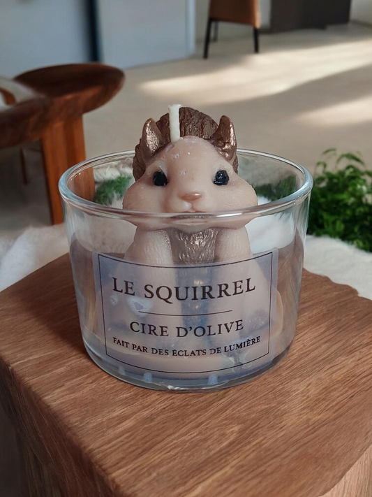 Bougie Parfumée Moyen format Le squirrel